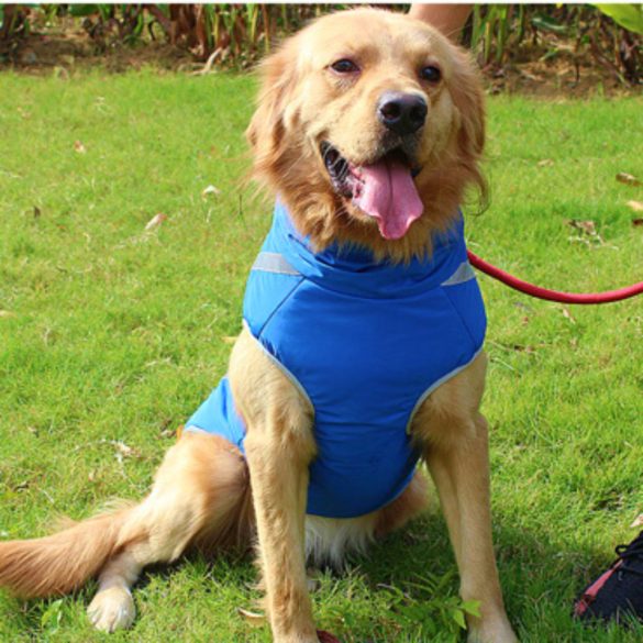 Warm Winter Coat for Dogs (M-XXL, 40-70 cm)