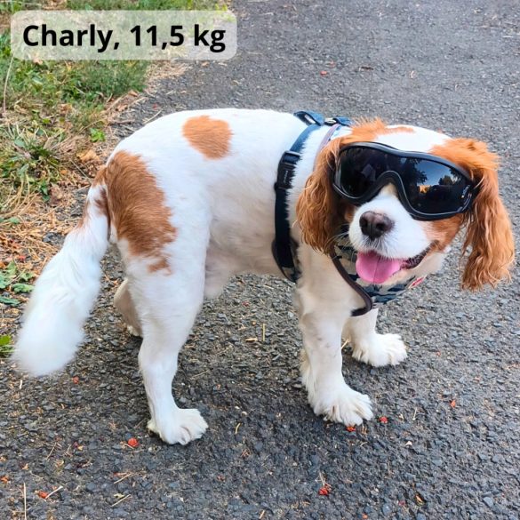 Dog Goggles (medium/ big dogs)