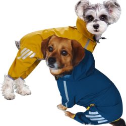   Mustársárga és lazúrkék eső overál kutyáknak (XS-S/M, 30-45 cm )