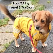 Yellow 4-leg Raincoat for Dogs (XS-S/M 30-45 cm)