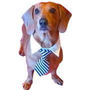 Necktie for Dogs (S-L,  28-40 cm)