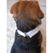 Necktie for Dogs (S-L,  28-40 cm)