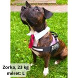 Borvörös kutya nyakkendő esküvőre, ünnepekre (S-L, 28-40 cm)