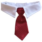 Borvörös kutya nyakkendő esküvőre, ünnepekre (S-L, 28-40 cm)