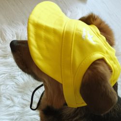 Baseball Cap for Dogs (S-XL)