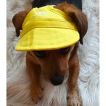 Baseball Cap for Dogs (S-XL)