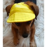 Baseball Cap for Dogs (S-XL)