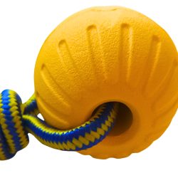 Dog Ball with Rope