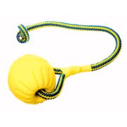 Dog Ball with Rope