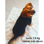 Fekete kutya pulóver kapucnival ( XS- 4XL, 30-78 cm)