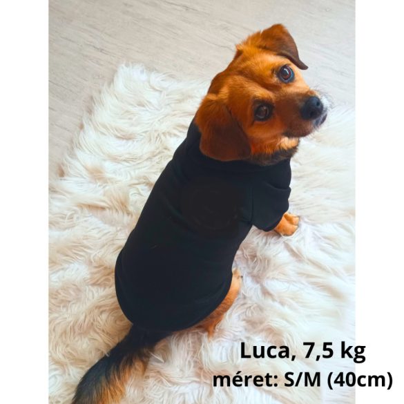 Fekete kutya pulóver kapucnival ( XS- 4XL, 30-78 cm)