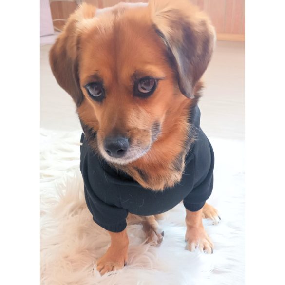 Fekete kutya pulóver kapucnival ( XS- 4XL, 30-78 cm)