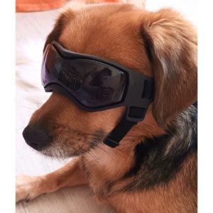 Dog Goggles (small/medium dogs)