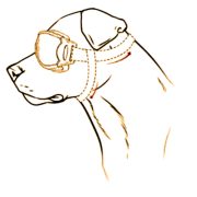 Dog Goggles (small/medium dogs)