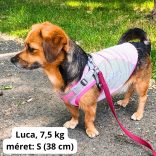 Cooling T-shirt for Dogs (28-47 cm, XXS-M)