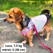 Hűtő póló kutyáknak (28-47 cm, XXS-M)