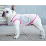 Cooling T-shirt for Dogs (28-47 cm, XXS-M)