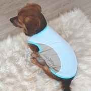 Cooling T-shirt for Dogs (28-47 cm, XXS-M)