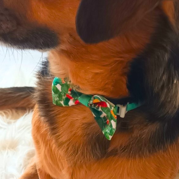 Nyári masni kutyáknak