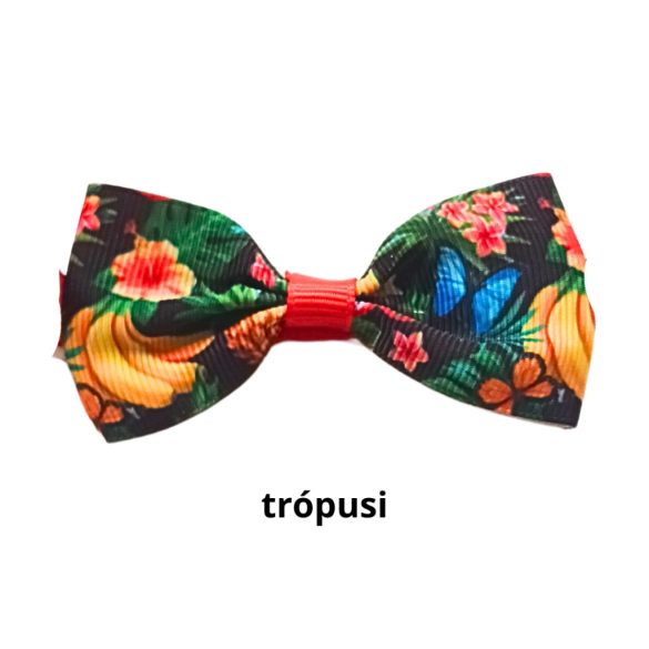 Nyári masni kutyáknak