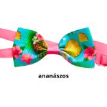 Nyári masni kutyáknak