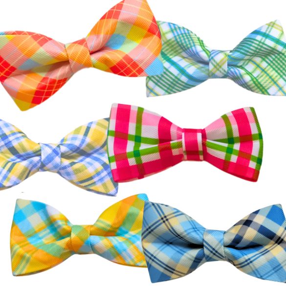 Csinos szines masni kutyáknak