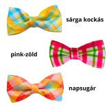 Csinos szines masni kutyáknak