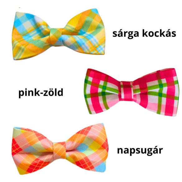 Csinos szines masni kutyáknak