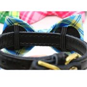Plaid Bow for Dogs and Cats