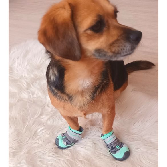 4 Seasons Dog Shoe for Medium and Big Dogs (5-8 cm paw widht)