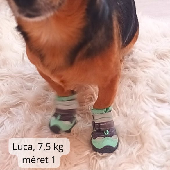 4 Seasons Dog Shoe for Medium and Big Dogs (5-8 cm paw widht)