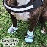 4 Seasons Dog Shoe for Medium and Big Dogs (5-8 cm paw widht)