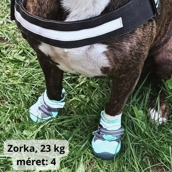 4 Seasons Dog Shoe for Medium and Big Dogs (5-8 cm paw widht)