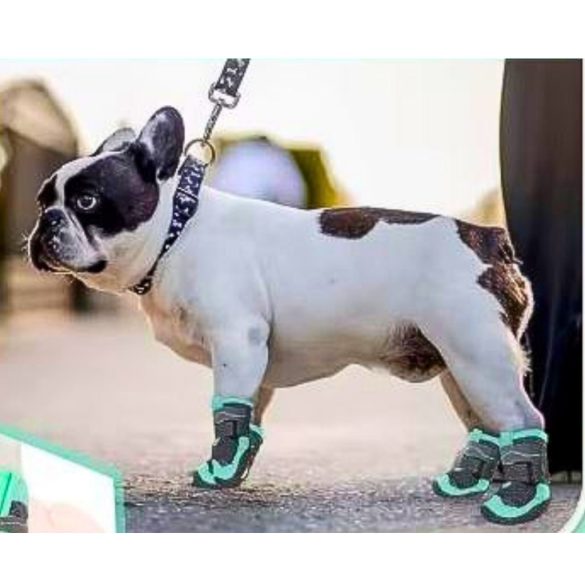 4 Seasons Dog Shoe for Medium and Big Dogs (5-8 cm paw widht)