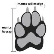 Négy évszakos kutyacipő ( 5-8 cm mancs szélességig )