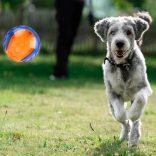 GiGwi kétszinű, rágásálló gumilabda kutyáknak