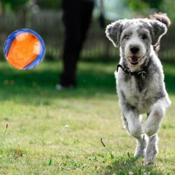 GiGwi kétszinű, rágásálló gumilabda kutyáknak