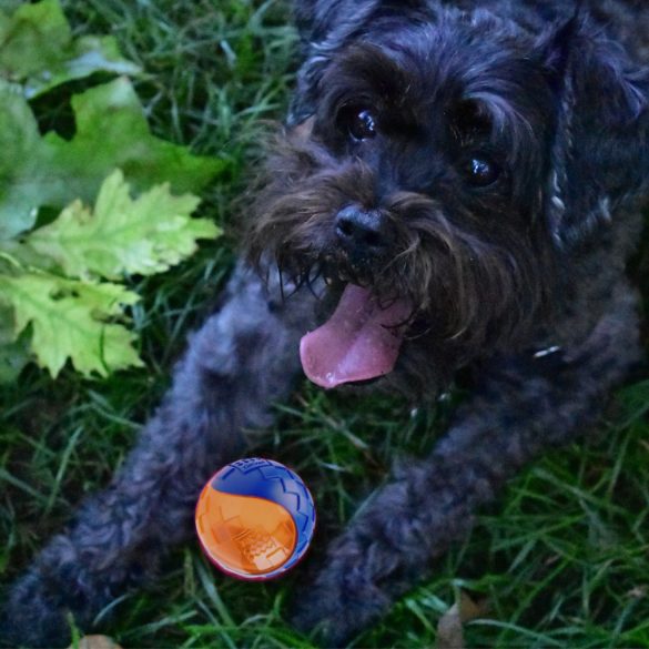 GiGwi kétszinű, rágásálló gumilabda kutyáknak