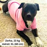 Rózsaszín kutya pulóver kapucnival ( XS- 4XL, 30-75 cm)