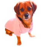 Rózsaszín kutya pulóver kapucnival ( XS- 4XL, 30-75 cm)