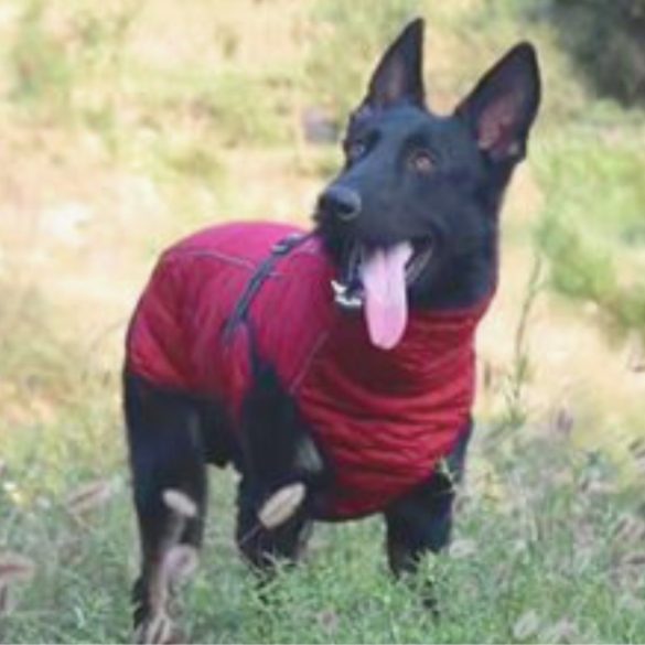 Burgundy Waterproof Dog Jacket (66-86 cm)