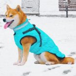 Meleg kutya kabát hámmal (XS-XL, 34-58 cm)