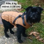 Meleg kutya kabát hámmal (XS-XL, 34-58 cm)