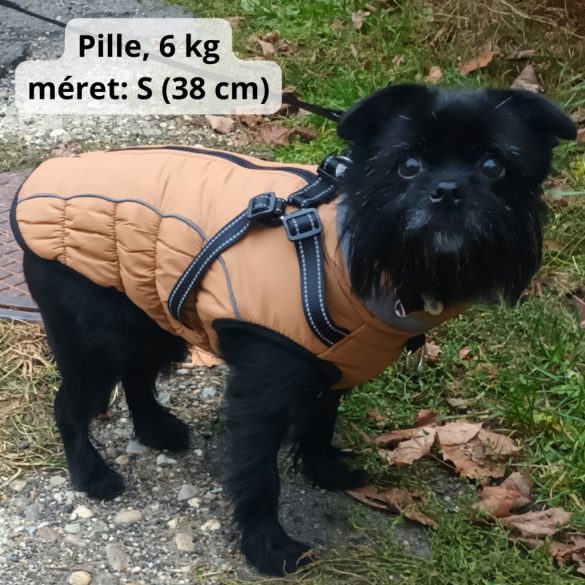 Meleg kutya kabát hámmal (XS-XL, 34-58 cm)