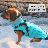 Meleg kutya kabát hámmal (XS-XL, 34-58 cm)