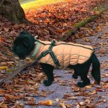 Meleg kutya kabát hámmal (XS-XL, 34-58 cm)