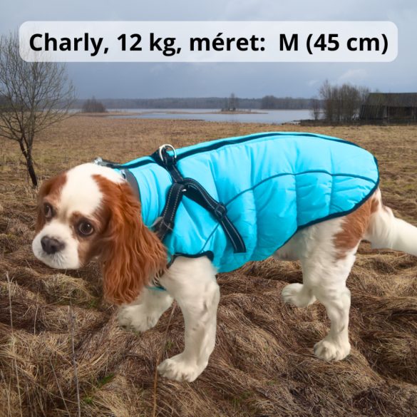 Meleg kutya kabát hámmal (XS-XL, 34-58 cm)