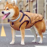 Meleg kutya kabát hámmal (XS-XL, 34-58 cm)