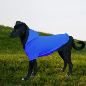 Királykék kutya pulóver kapucnival ( XS- 4XL, 30-75 cm)
