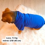Királykék kutya pulóver kapucnival ( XS- 4XL, 30-75 cm)